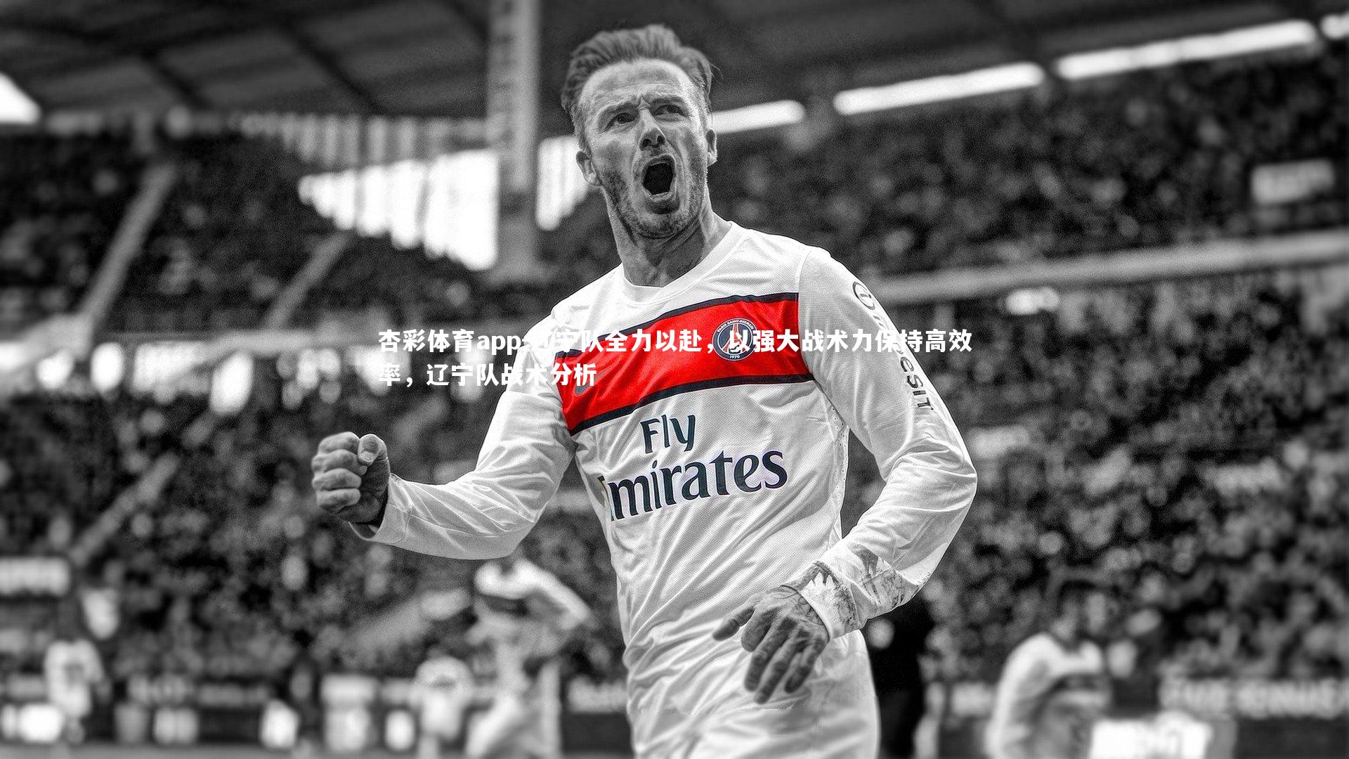 杏彩体育app-辽宁队全力以赴，以强大战术力保持高效率，辽宁队战术分析